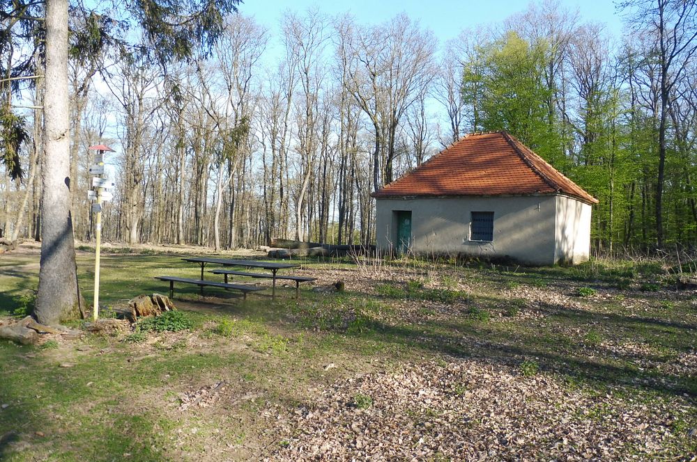 Žalostinská vrchovina