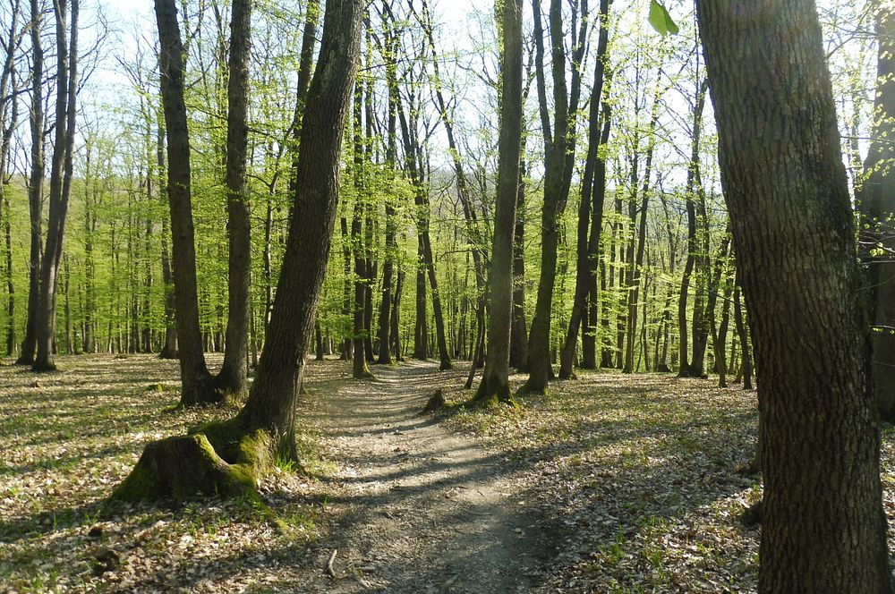 Žalostinská vrchovina