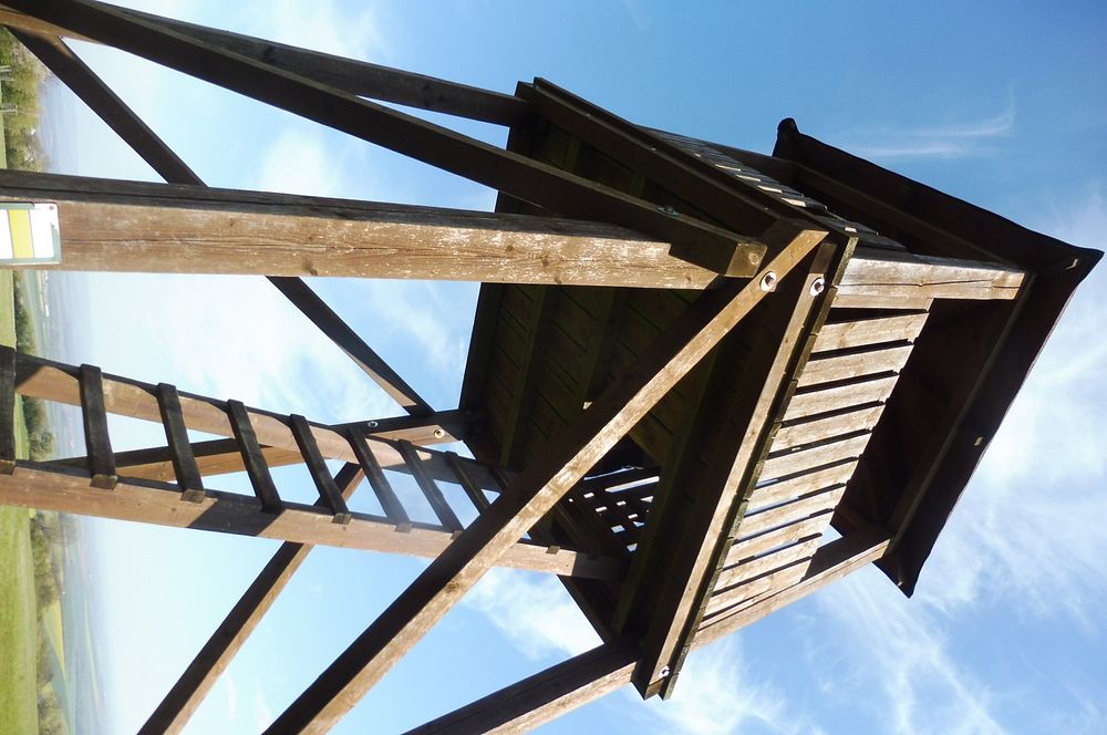 Žalostinská vrchovina