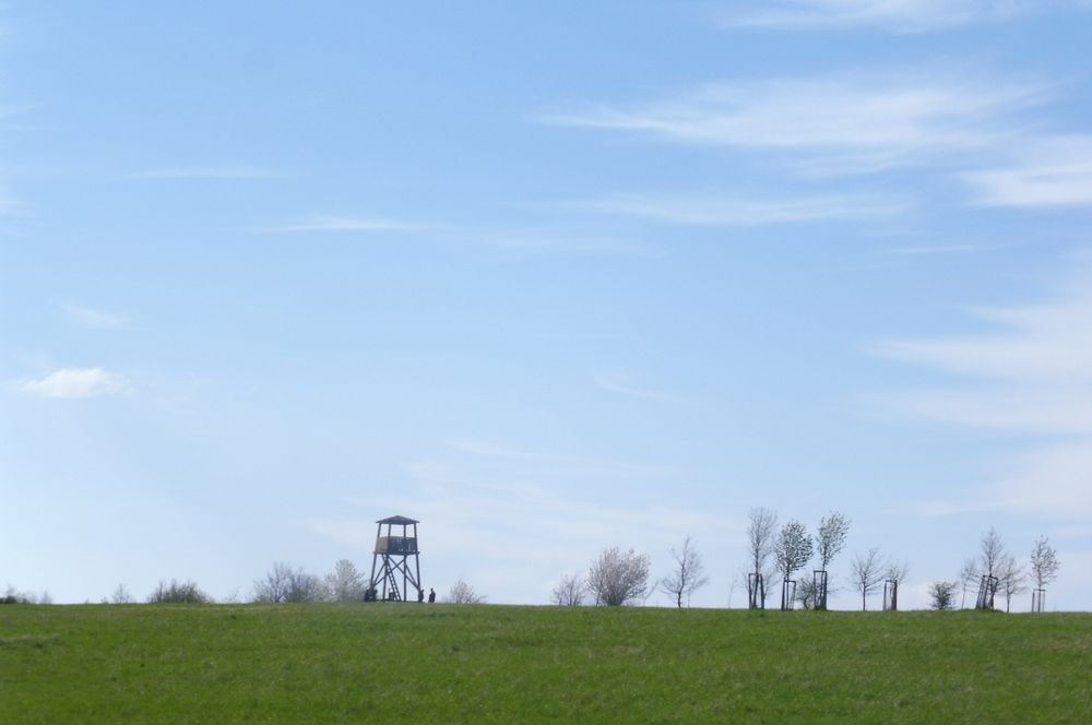 Žalostinská vrchovina