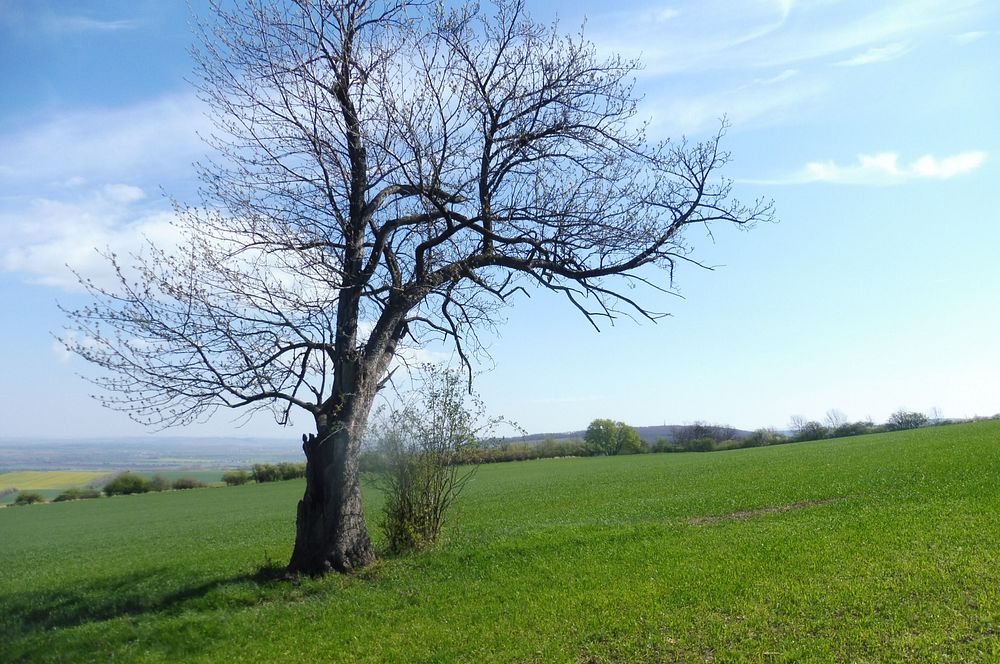 Žalostinská vrchovina
