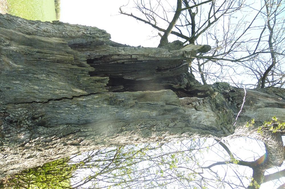 Žalostinská vrchovina