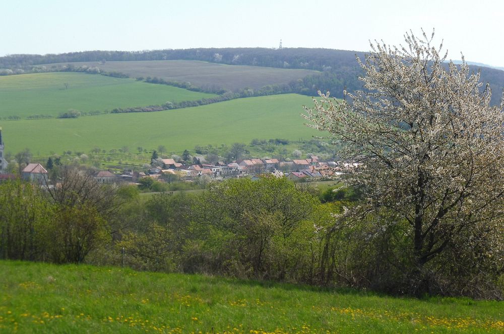 Žalostinská vrchovina