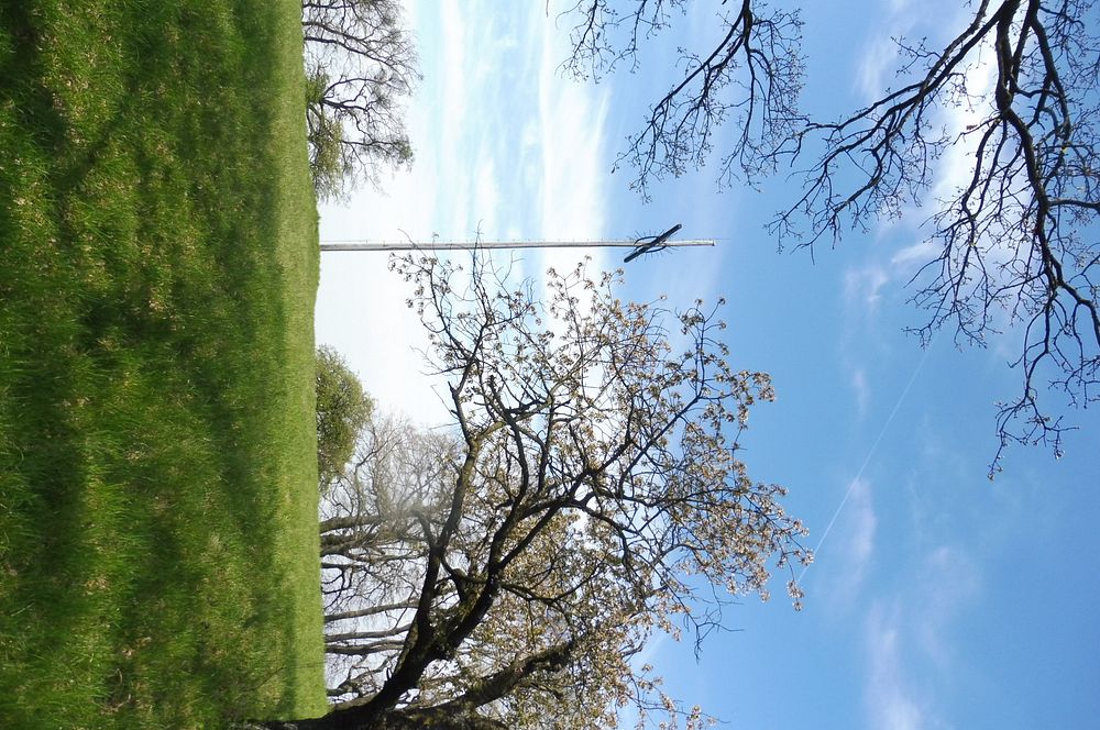 Žalostinská vrchovina