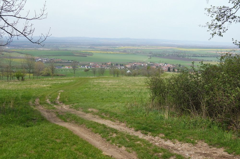 Žalostinská vrchovina