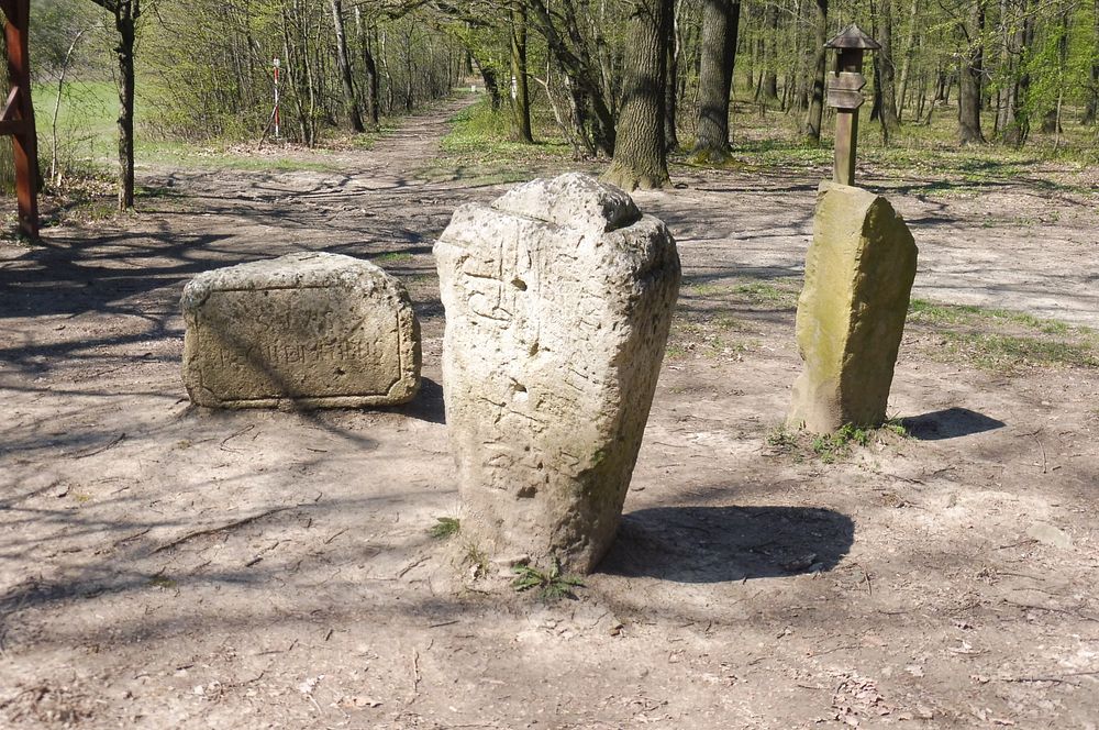 Žalostinská vrchovina