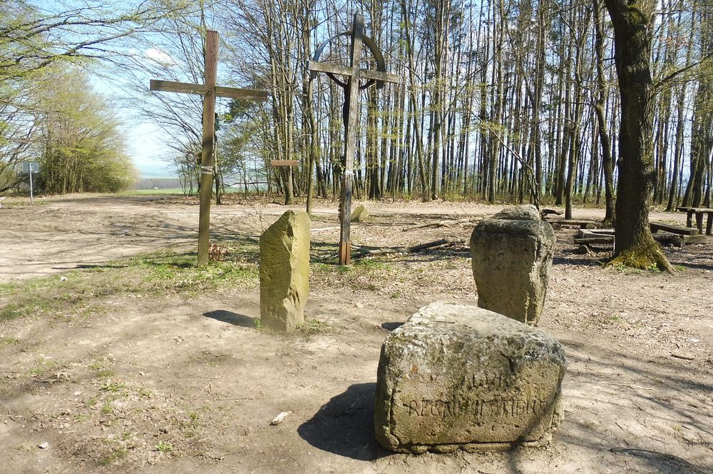 Žalostinská vrchovina