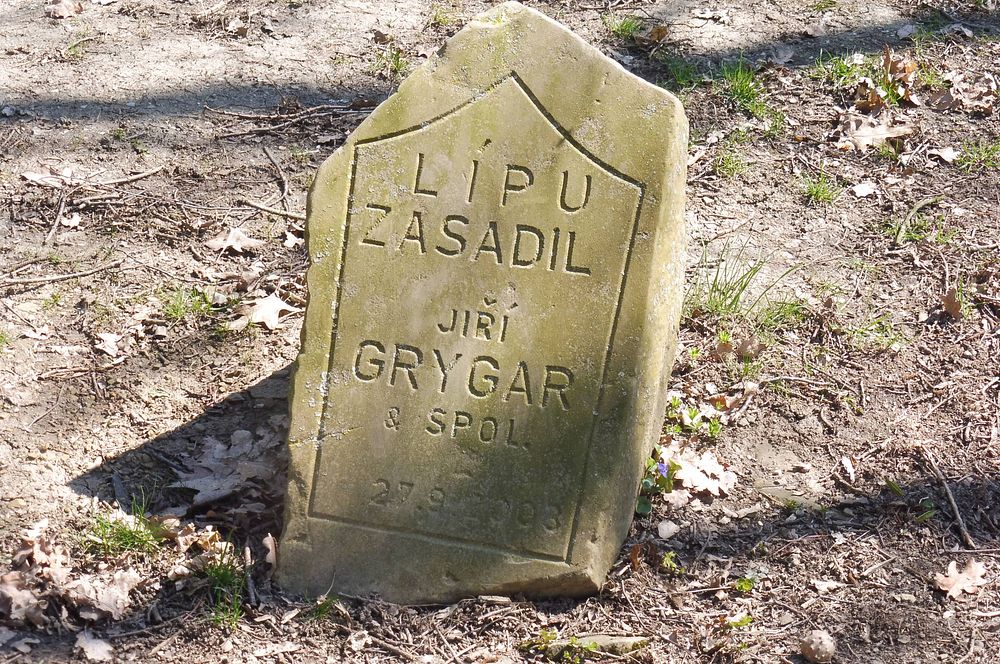 Žalostinská vrchovina