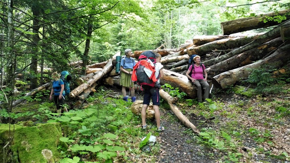Kytičkový zájezd do pohoří Velebit a do Dalmácie.