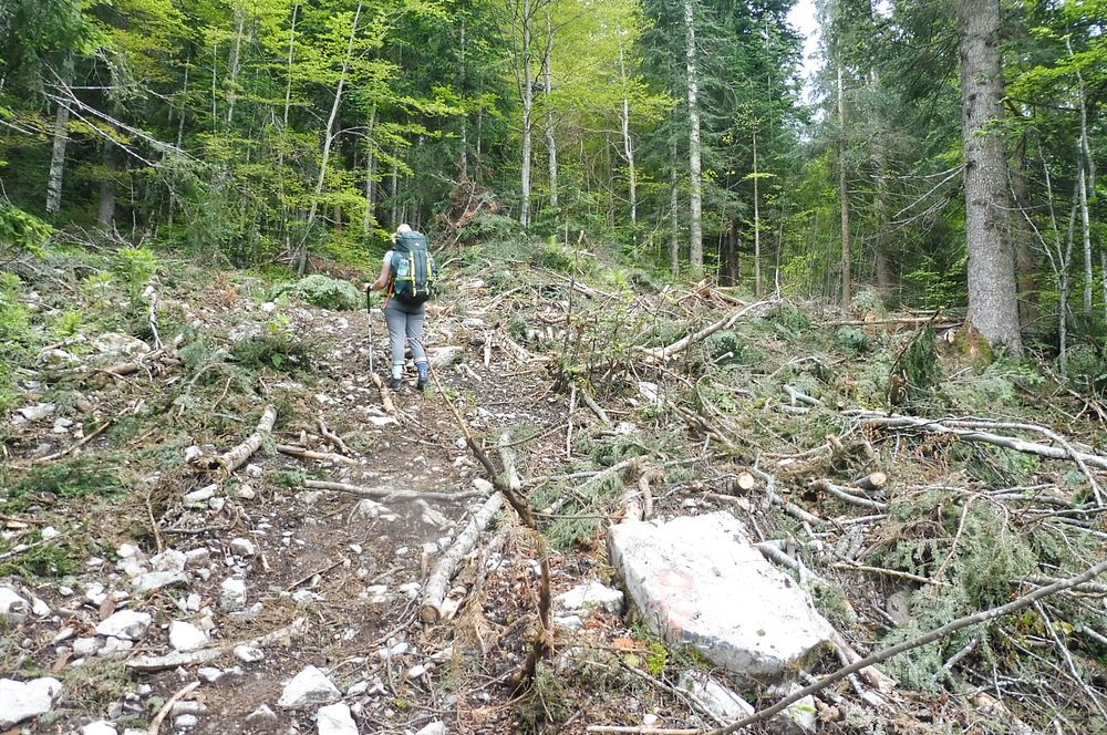 Kytičkový zájezd do pohoří Velebit a do Dalmácie.