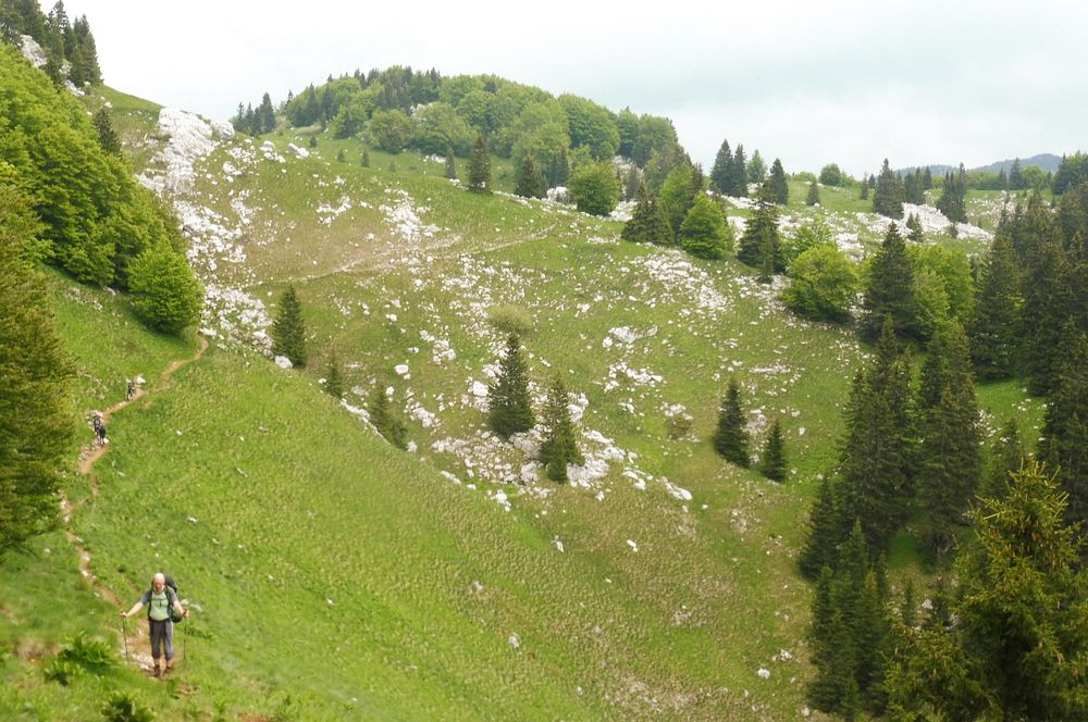 Kytičkový zájezd do pohoří Velebit a do Dalmácie.