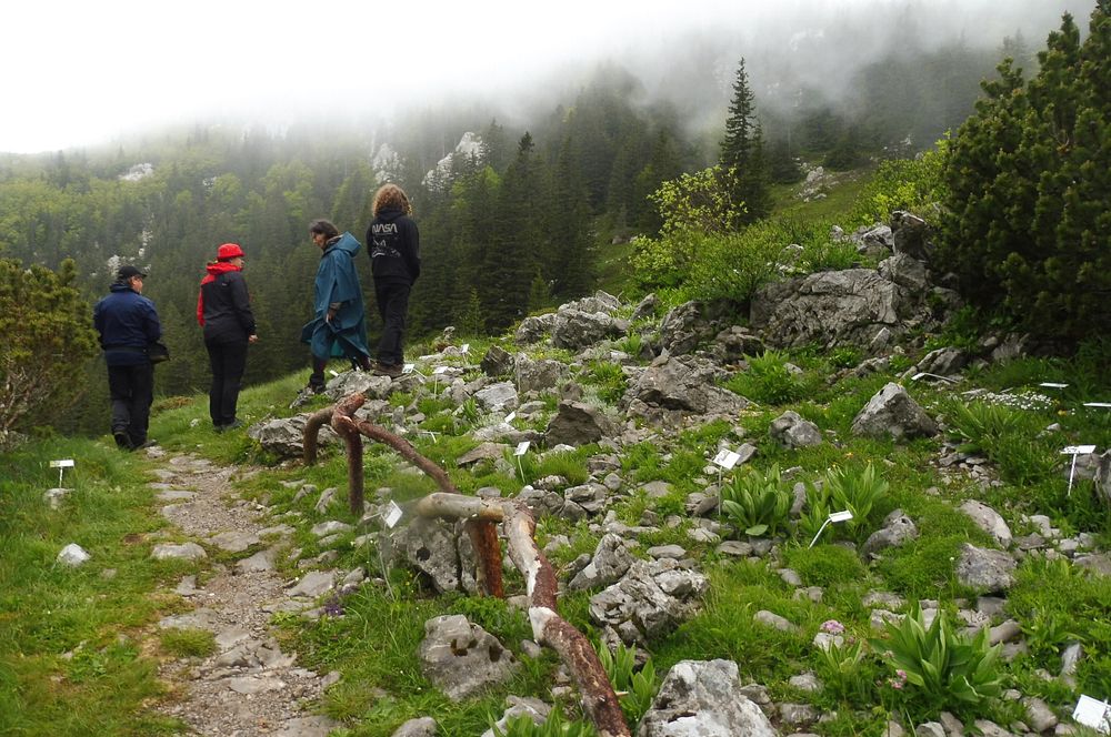 Kytičkový zájezd do pohoří Velebit a do Dalmácie.
