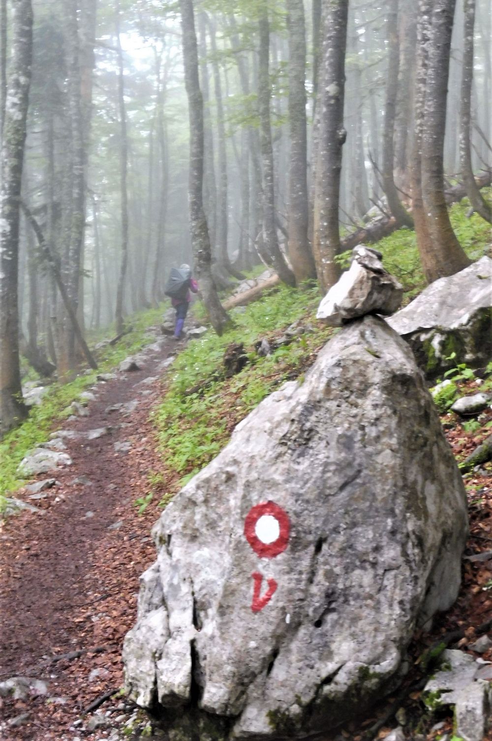 Kytičkový zájezd do pohoří Velebit a do Dalmácie.