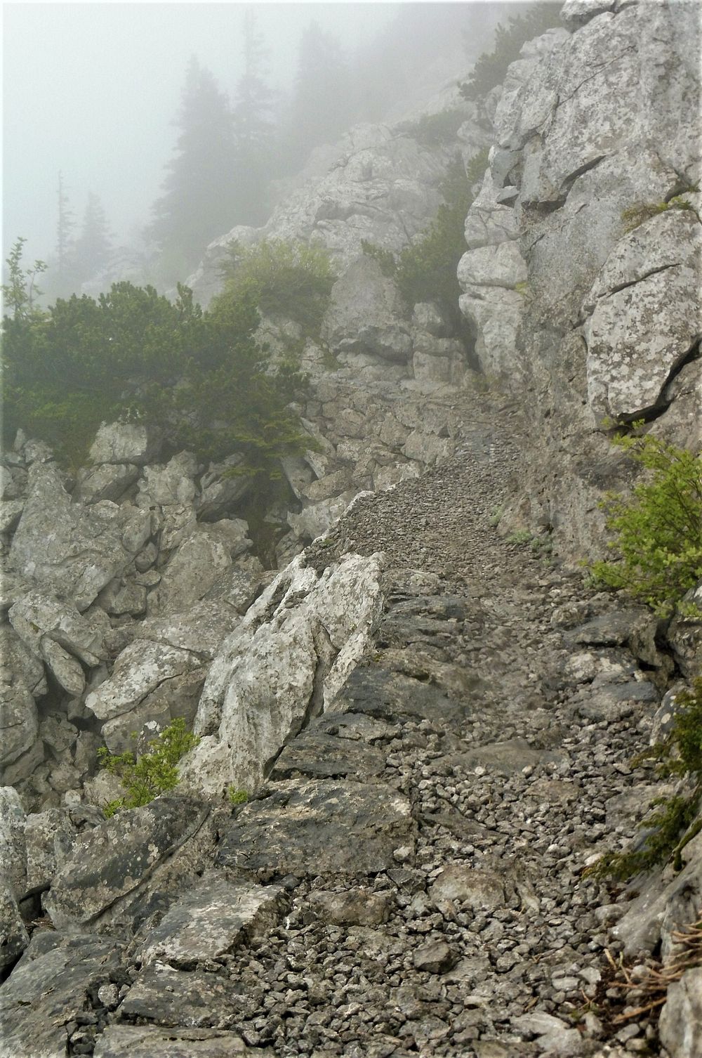 Kytičkový zájezd do pohoří Velebit a do Dalmácie.