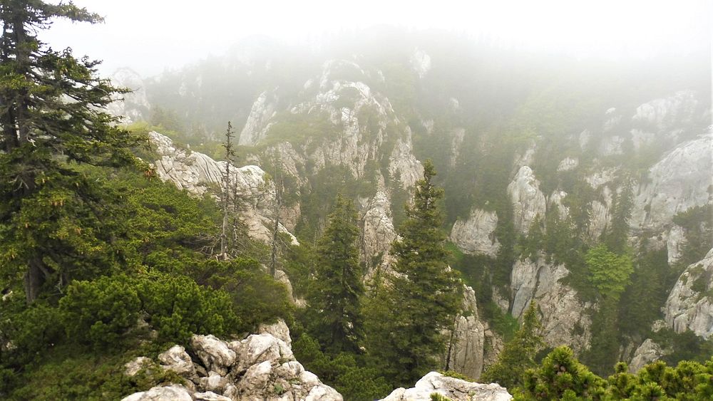 Kytičkový zájezd do pohoří Velebit a do Dalmácie.