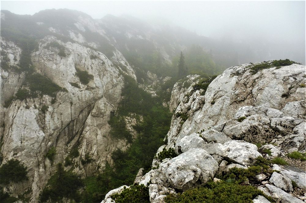 Kytičkový zájezd do pohoří Velebit a do Dalmácie.