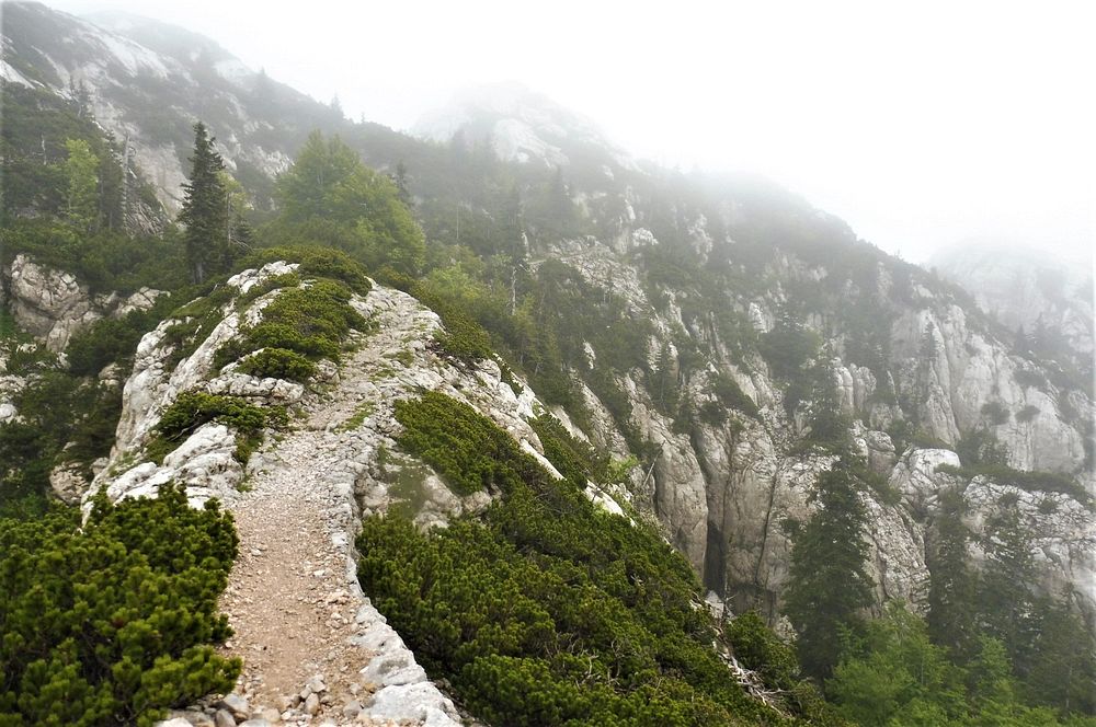 Kytičkový zájezd do pohoří Velebit a do Dalmácie.