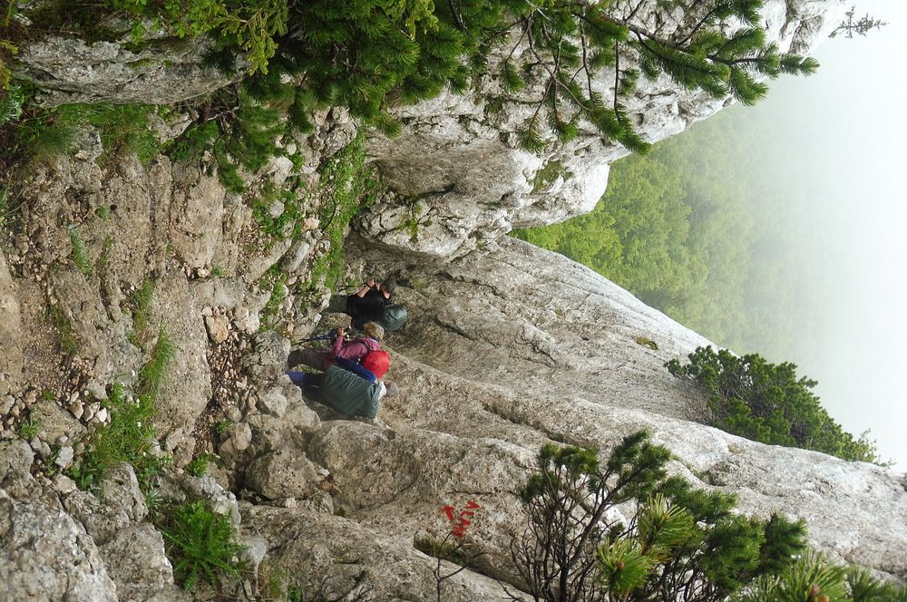 Kytičkový zájezd do pohoří Velebit a do Dalmácie.
