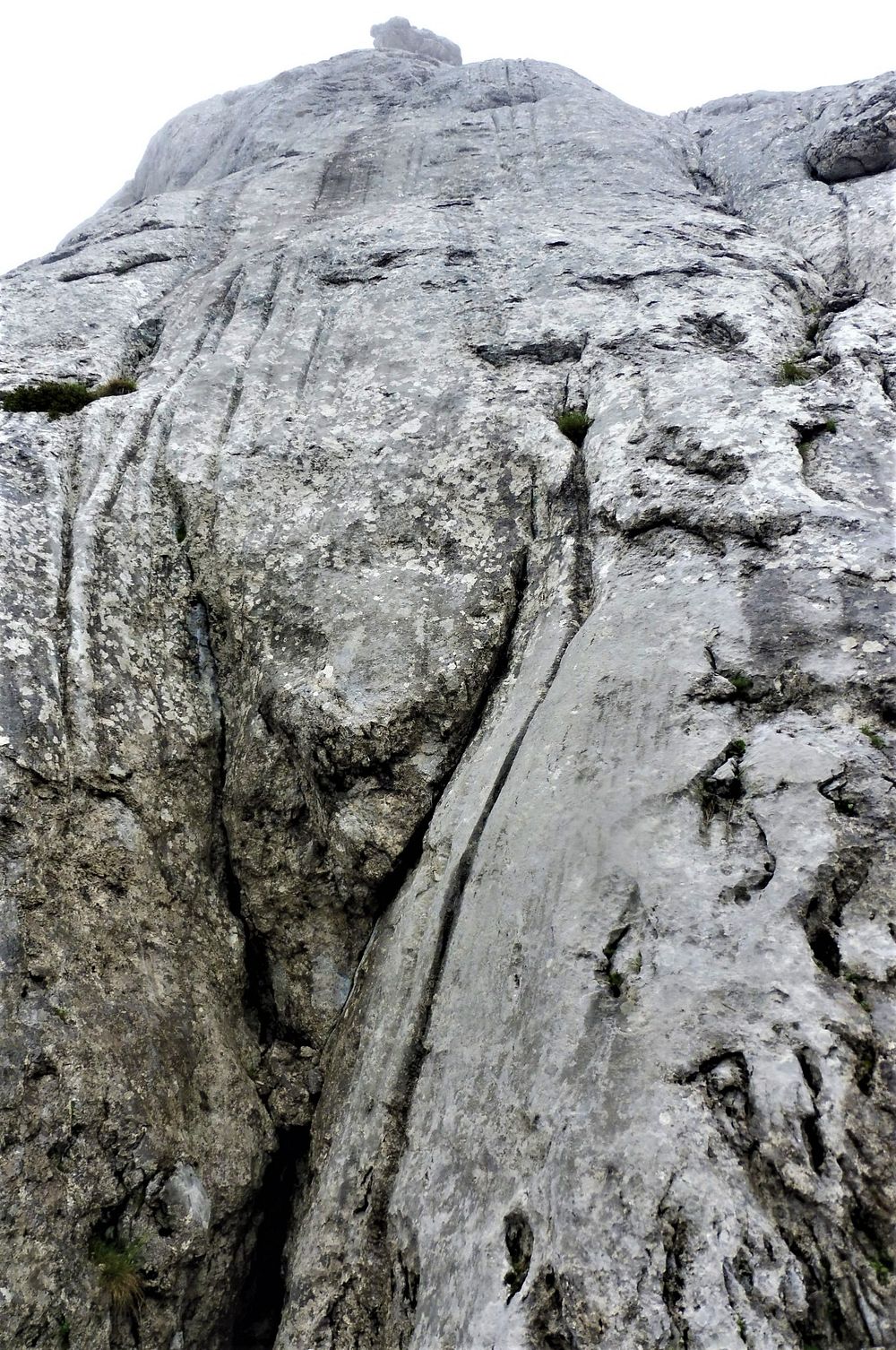 Kytičkový zájezd do pohoří Velebit a do Dalmácie.