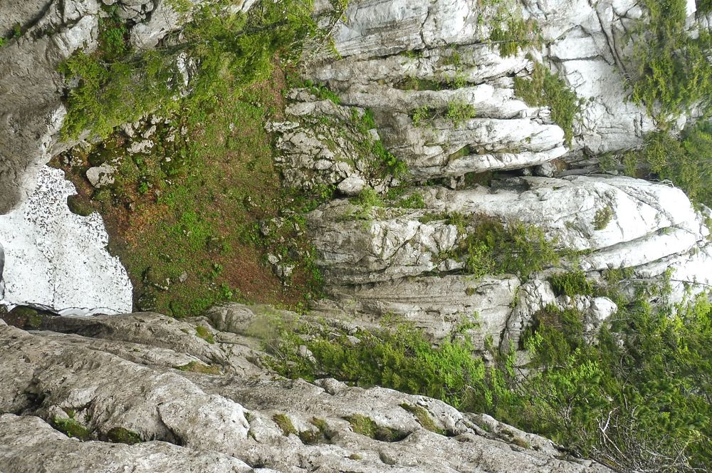 Kytičkový zájezd do pohoří Velebit a do Dalmácie.
