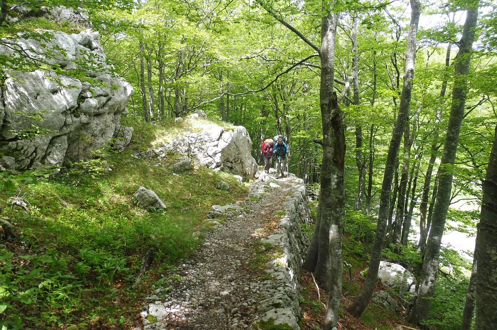 Kytičkový zájezd do pohoří Velebit a do Dalmácie.