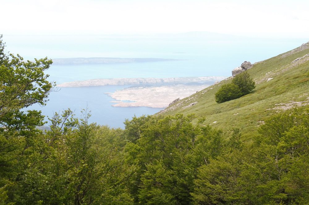 Kytičkový zájezd do pohoří Velebit a do Dalmácie.