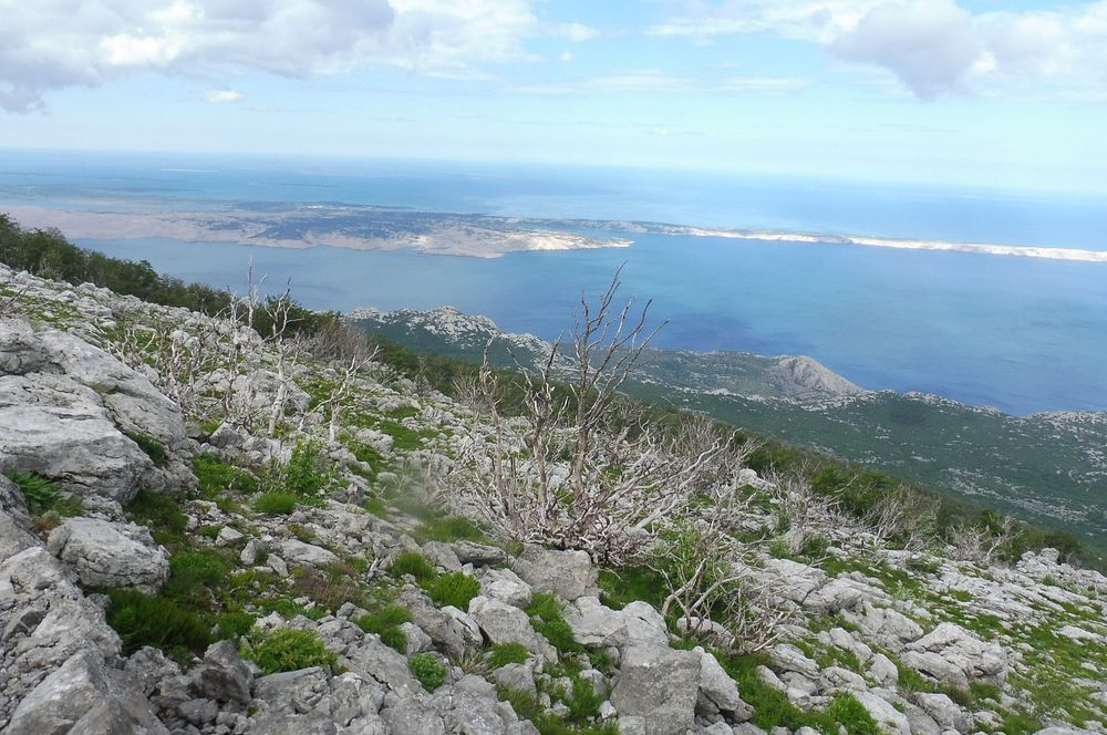 Kytičkový zájezd do pohoří Velebit a do Dalmácie.