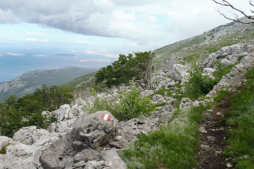 Kytičkový zájezd do pohoří Velebit a do Dalmácie.