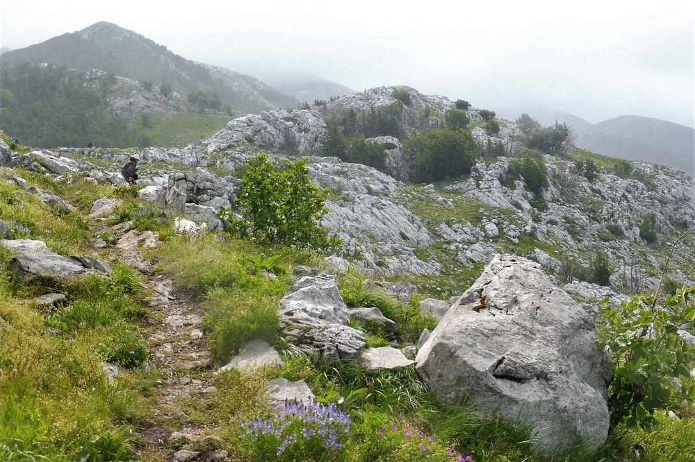 Kytičkový zájezd do pohoří Velebit a do Dalmácie.