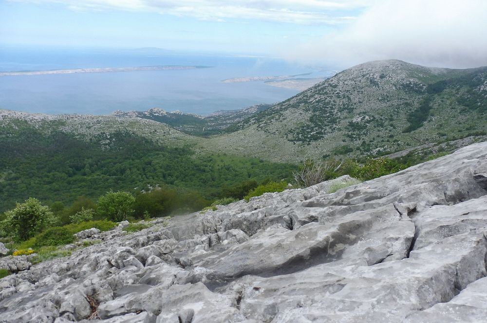 Kytičkový zájezd do pohoří Velebit a do Dalmácie.