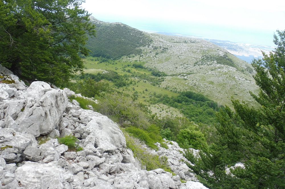 Kytičkový zájezd do pohoří Velebit a do Dalmácie.