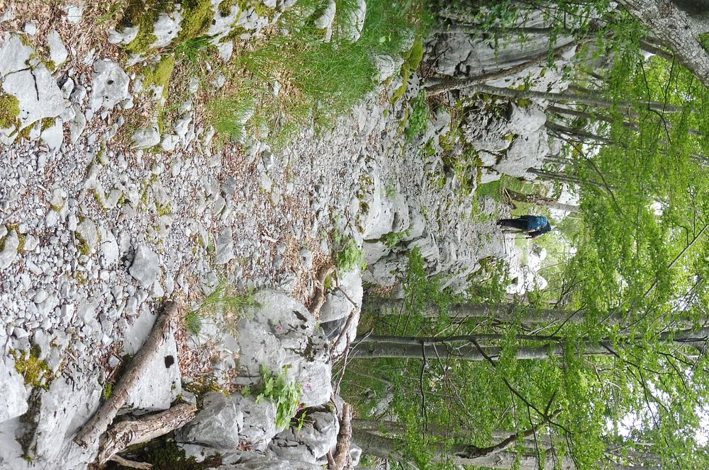 Kytičkový zájezd do pohoří Velebit a do Dalmácie.