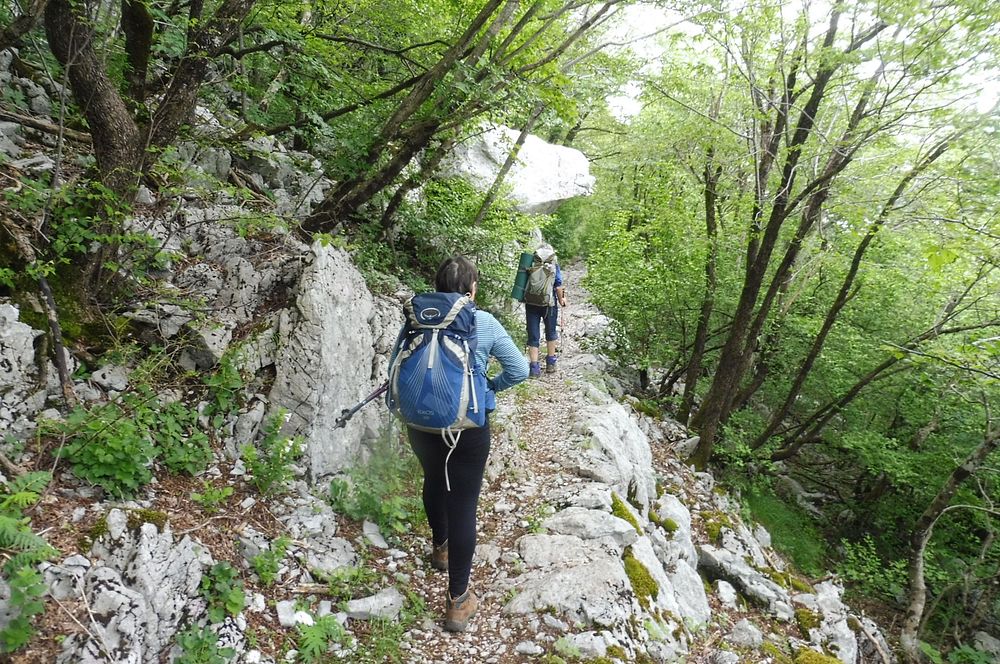 Kytičkový zájezd do pohoří Velebit a do Dalmácie.