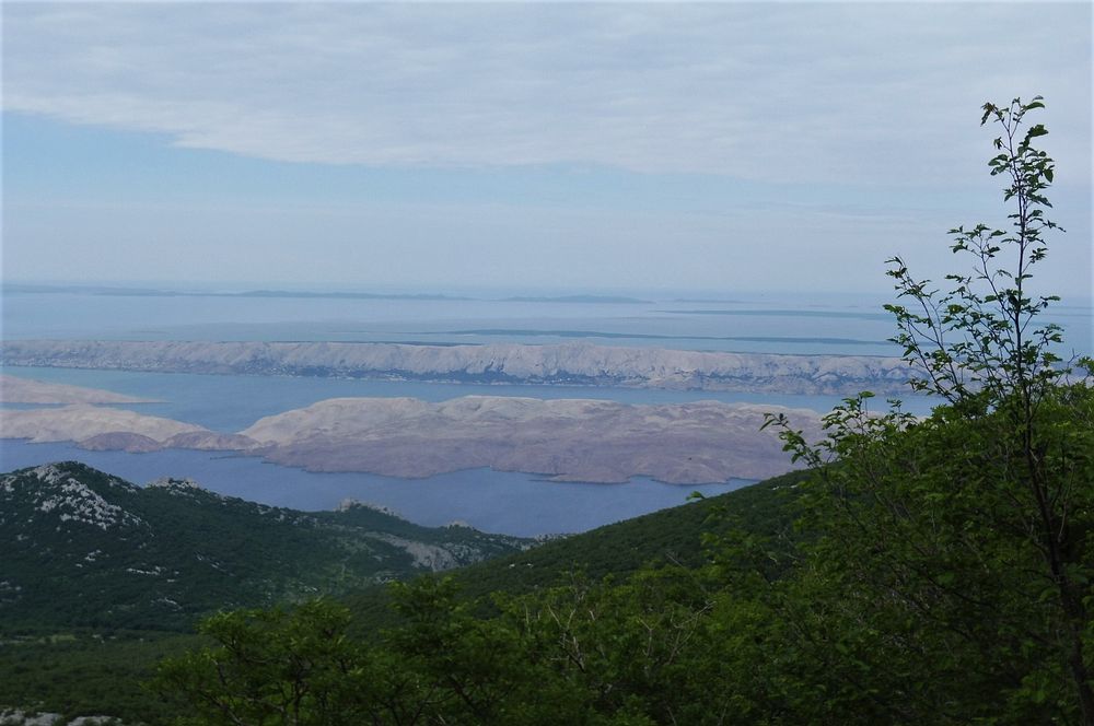 Kytičkový zájezd do pohoří Velebit a do Dalmácie.