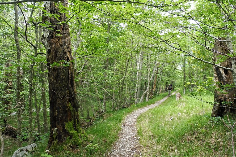 Kytičkový zájezd do pohoří Velebit a do Dalmácie.