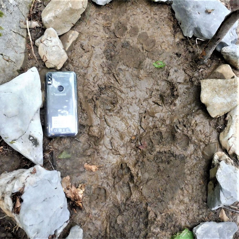 Kytičkový zájezd do pohoří Velebit a do Dalmácie.