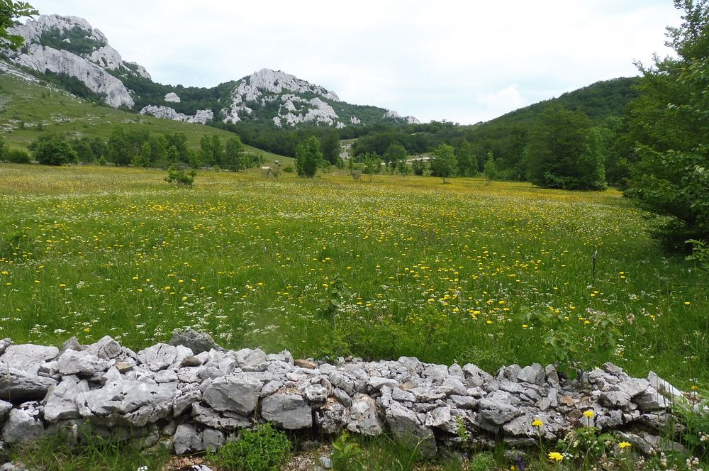 Kytičkový zájezd do pohoří Velebit a do Dalmácie.