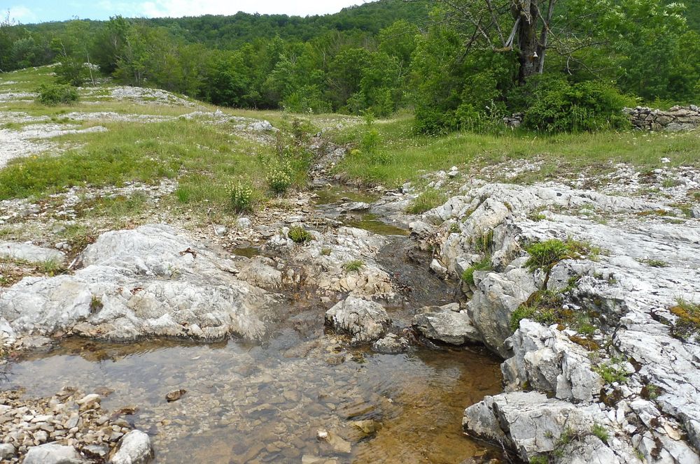 Kytičkový zájezd do pohoří Velebit a do Dalmácie.