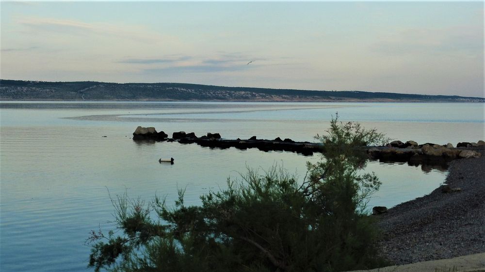 Kytičkový zájezd do pohoří Velebit a do Dalmácie.