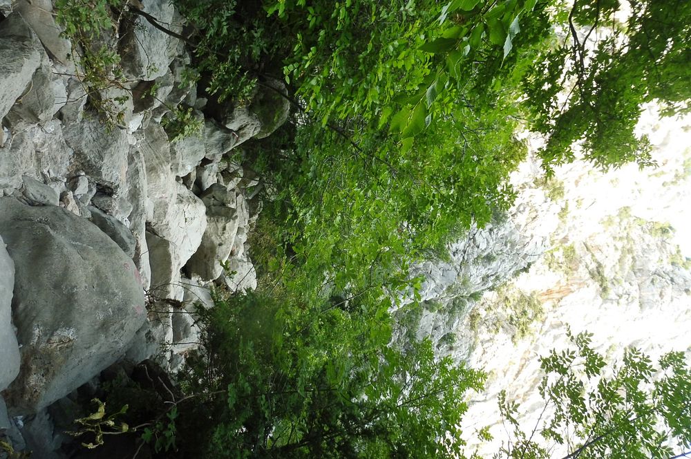 Kytičkový zájezd do pohoří Velebit a do Dalmácie.