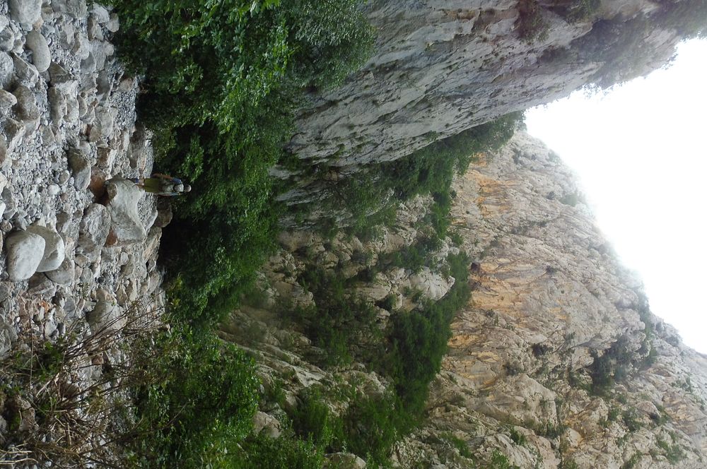 Kytičkový zájezd do pohoří Velebit a do Dalmácie.
