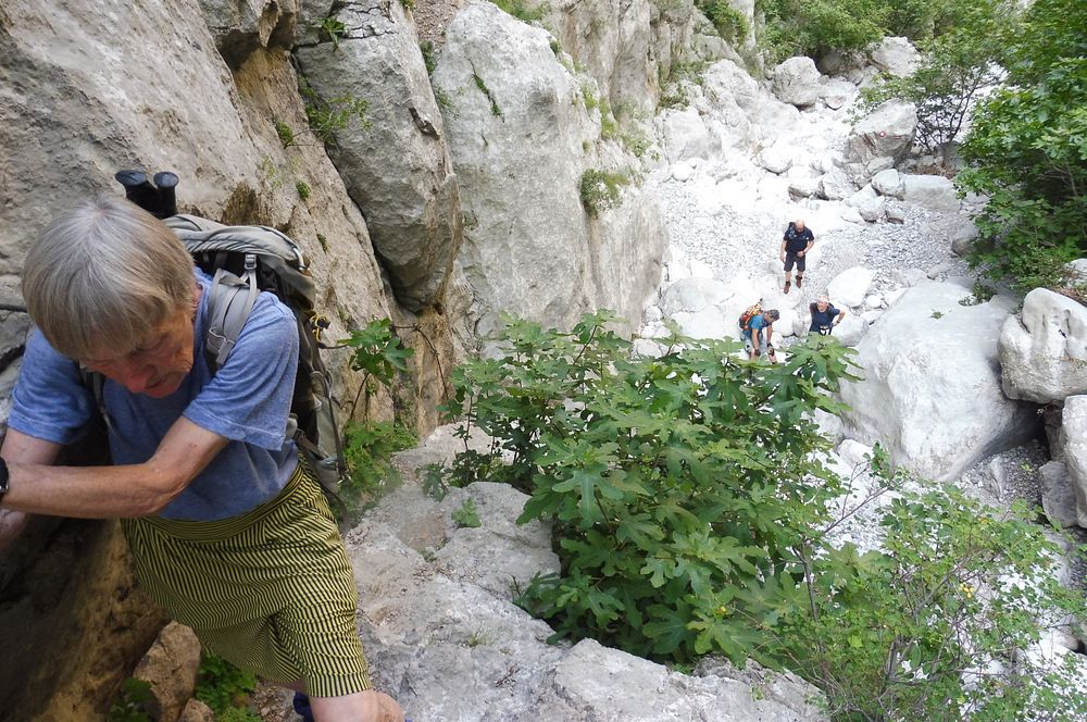 Kytičkový zájezd do pohoří Velebit a do Dalmácie.