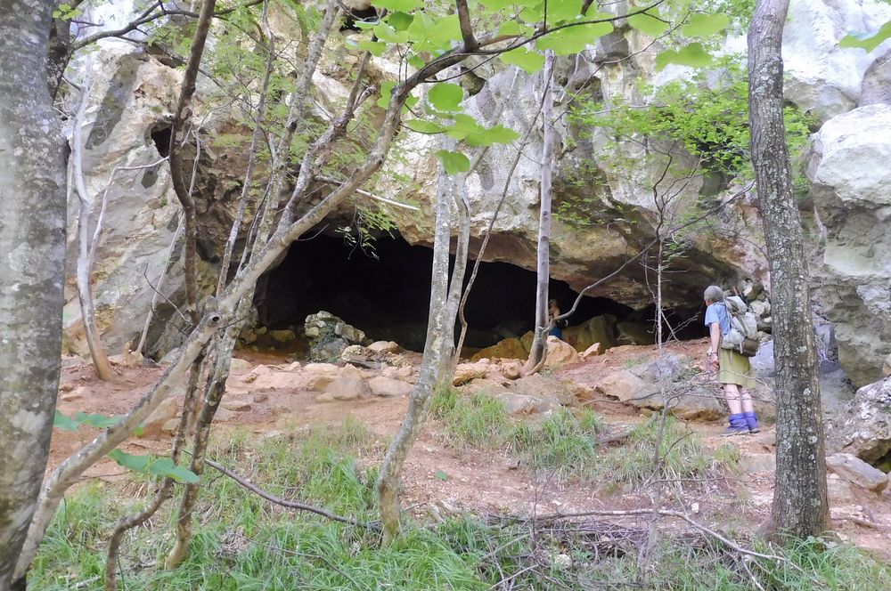 Kytičkový zájezd do pohoří Velebit a do Dalmácie.
