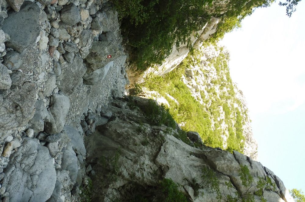 Kytičkový zájezd do pohoří Velebit a do Dalmácie.