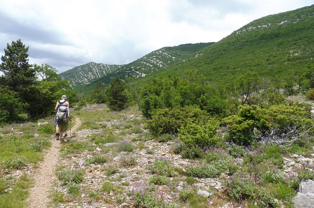 Kytičkový zájezd do pohoří Velebit a do Dalmácie.