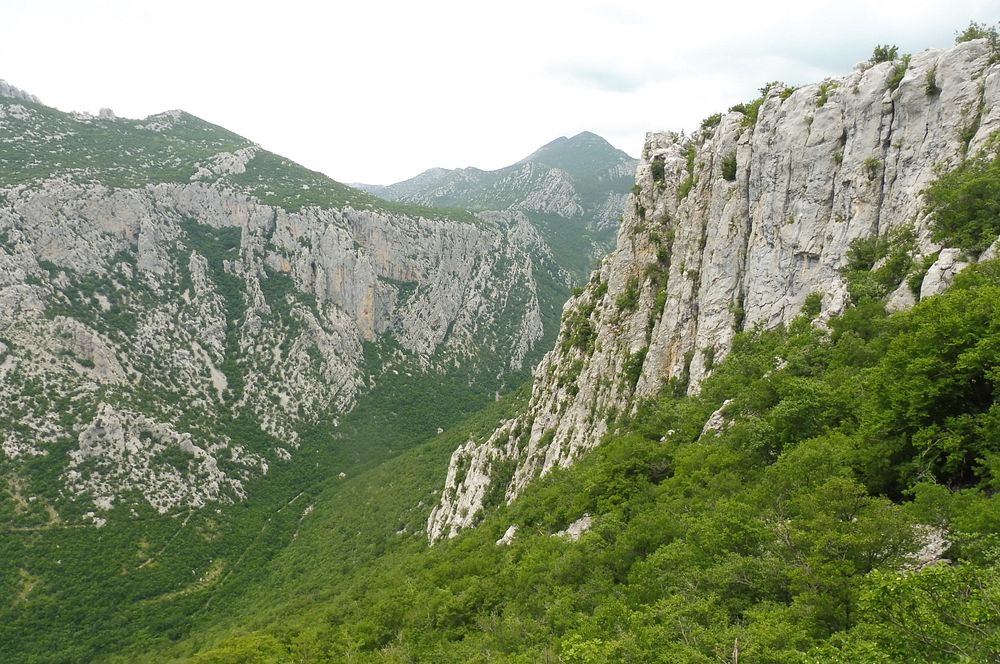 Kytičkový zájezd do pohoří Velebit a do Dalmácie.