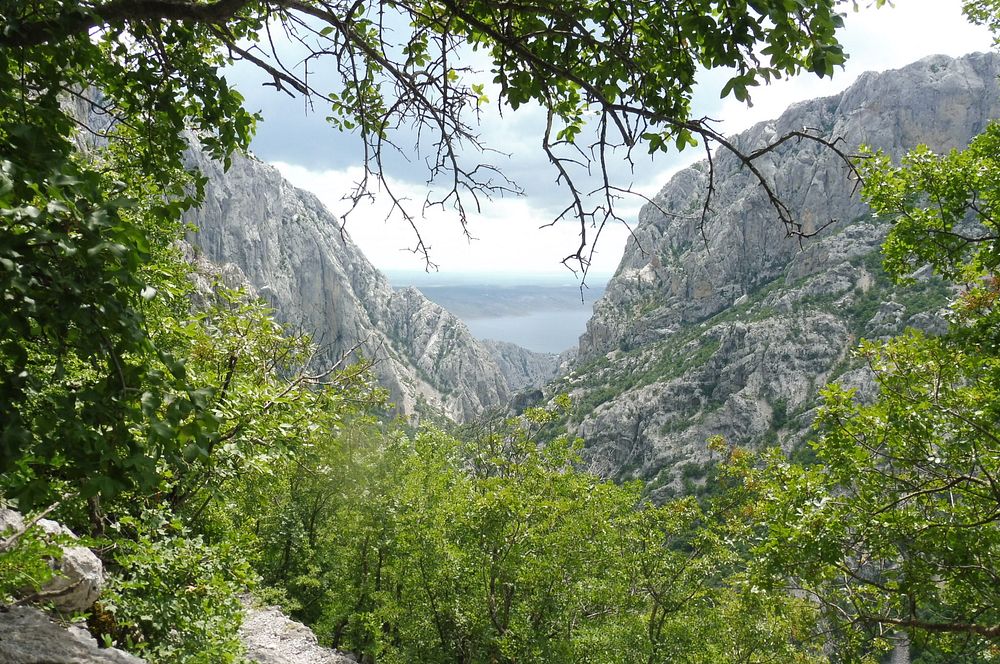 Kytičkový zájezd do pohoří Velebit a do Dalmácie.