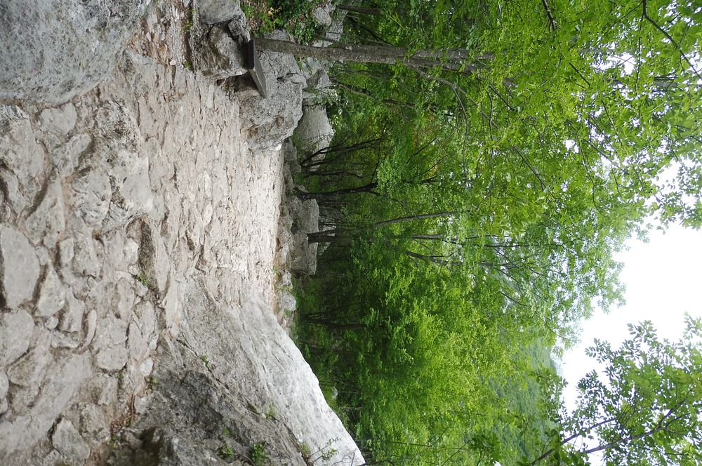 Kytičkový zájezd do pohoří Velebit a do Dalmácie.