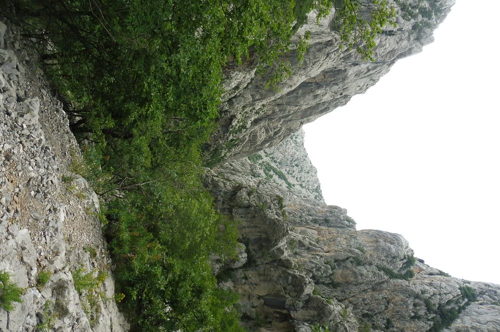 Kytičkový zájezd do pohoří Velebit a do Dalmácie.