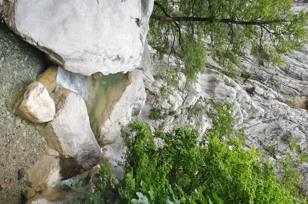 Kytičkový zájezd do pohoří Velebit a do Dalmácie.